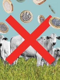 illustration showing cow with red x crossed through it as illustration of agribusiness and deforestation