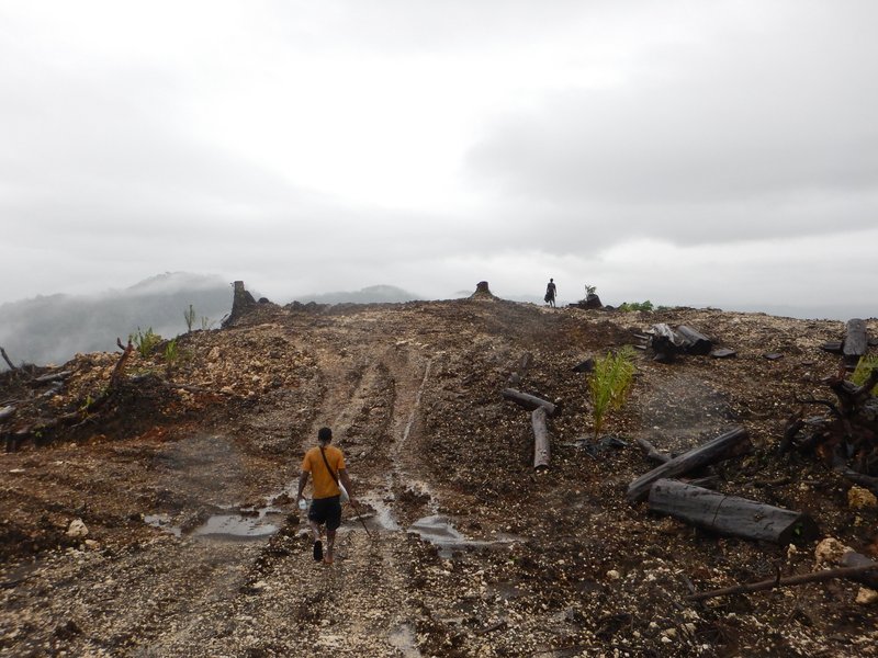 Landowner on forest land destroyed in Papua New Guinea