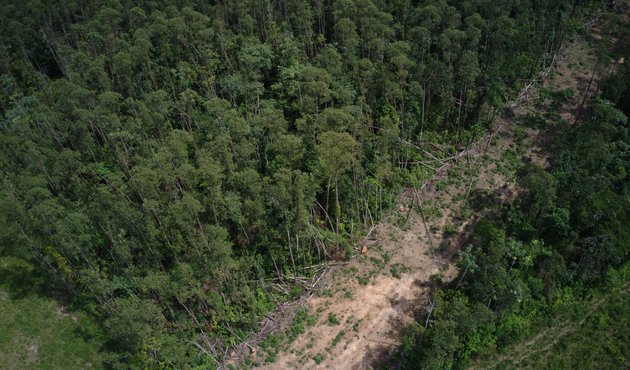 Still arial image of deforestation in the region of Marabá, Pará State, Brazil.