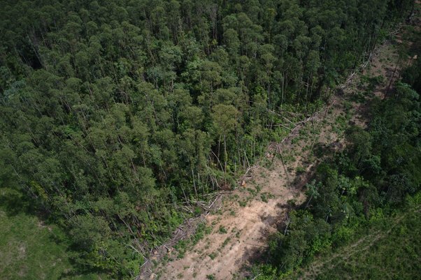 Still arial image of deforestation in the region of Marabá, Pará State, Brazil.