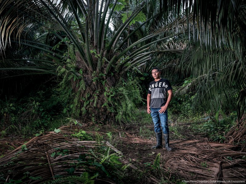 land defender stands amidst fallen trees on palm oil plantation behind his father's farm in colombia