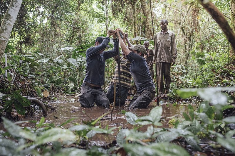 scientists inspecting peatlands in congo basin