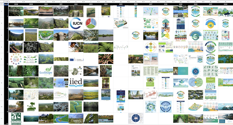An example of the results of our Google Image Search query for nature based solutions