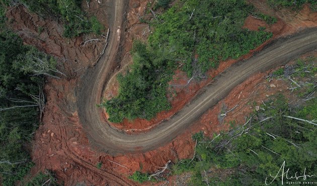 Drone photo of destructive and unsustainable logging in temotu, solomon islands