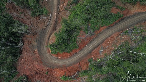 Drone photo of destructive and unsustainable logging in temotu, solomon islands