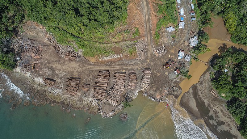 aerial view of logging in solomon islands