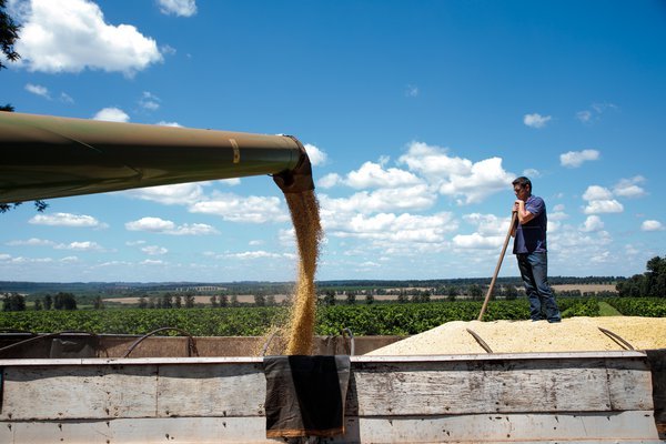 machine pours out soy bean harvest while worker watches on in brazil