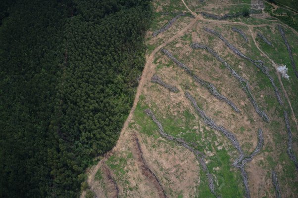 Still aerial image of deforestation in the region of Marabá, Pará State, Brazil taken on 27th Nov 2021