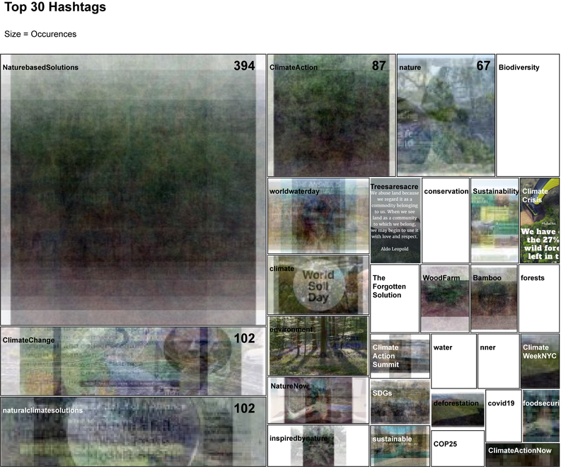 The treemap shows, as an overlay composite, the images used by the 30 tags with the highest presence e.g. water, cop25, covid19, forests, conservation, sustainability