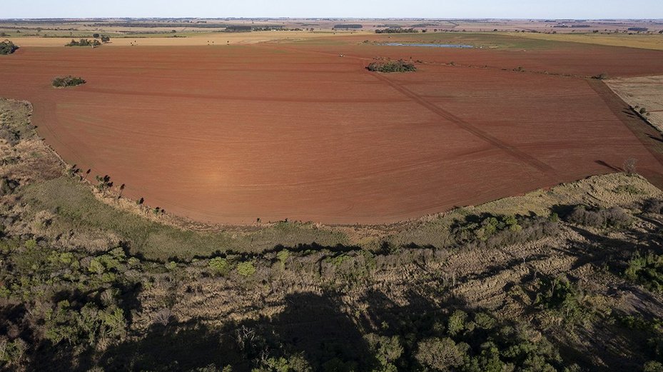 view of cerrado savannah landscape, brazil