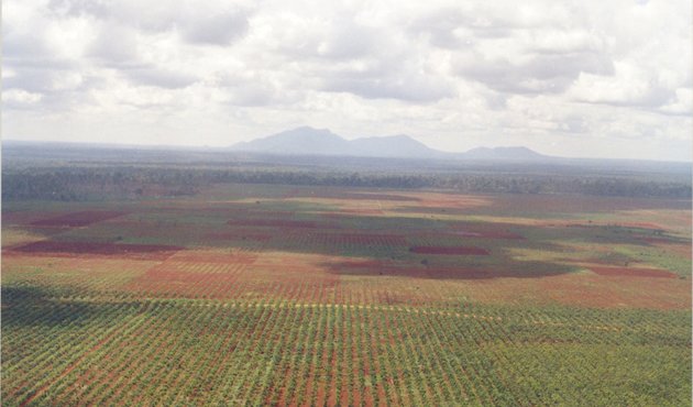 view of landscape flattened for rubber plantation in Prey Lang Forest, Cambodia