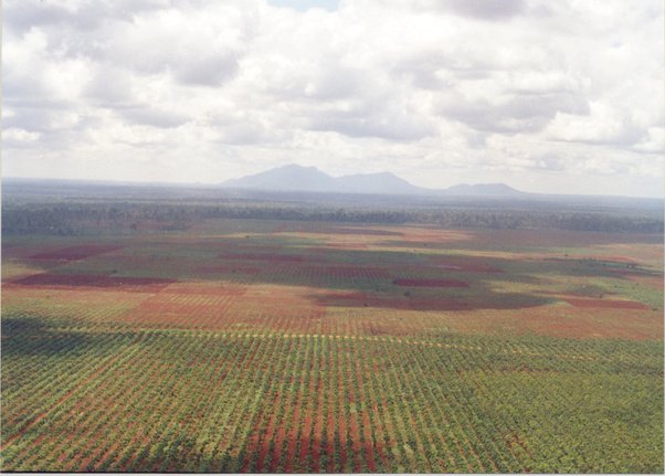 view of landscape flattened for rubber plantation in Prey Lang Forest, Cambodia