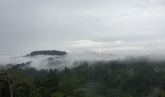 view of mist hanging over turubu area forests in East Sepik Province, Papua New Guinea