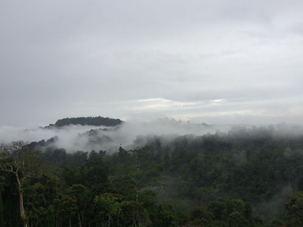 view of mist hanging over turubu area forests in East Sepik Province, Papua New Guinea