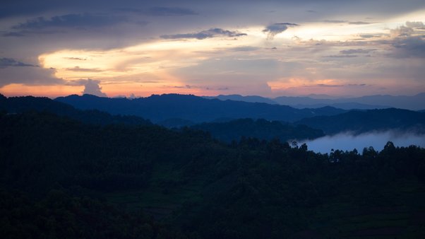 Bwindi National Park, Uganda