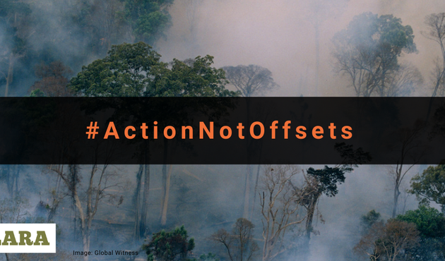 A burning forest with the words #ActionNotOffsets