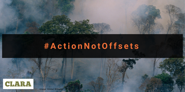 A burning forest with the words #ActionNotOffsets