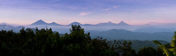 Virunga landscape