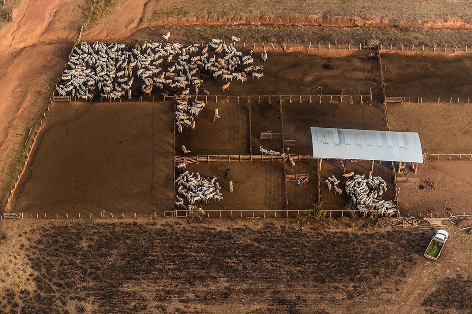 Aerial images of cattle fields in São Félix do Xingu, Pará State, Brazil, 2019.