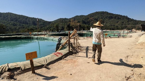 Rare earth leaching pools in Kachin state