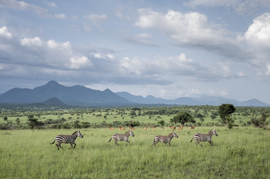 Kidepo National Park in Northern Uganda