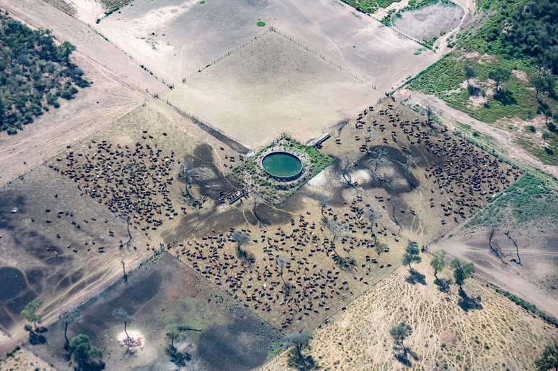 satellite photo of farms in Northern Argentina