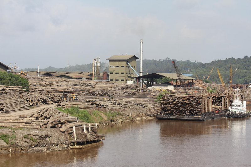 A plywood mill in Bintulu, Sarawak