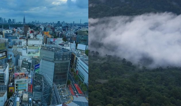 Split screen of Japan and Forests