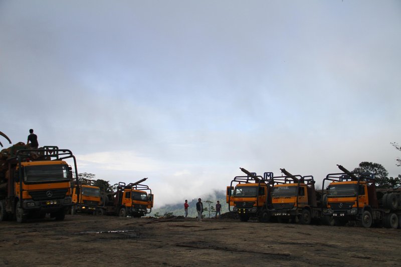 Logging trucks gathered together